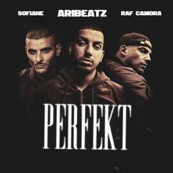 Portada de Perfekt