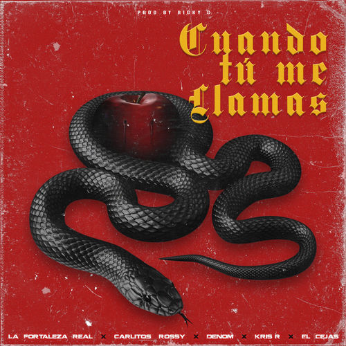 Portada de Cuando Tu Me Llamas
