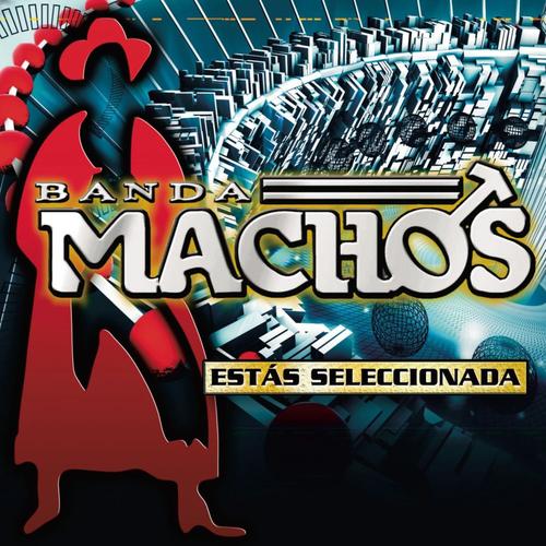 Portada de Los Calzones de la Dama
