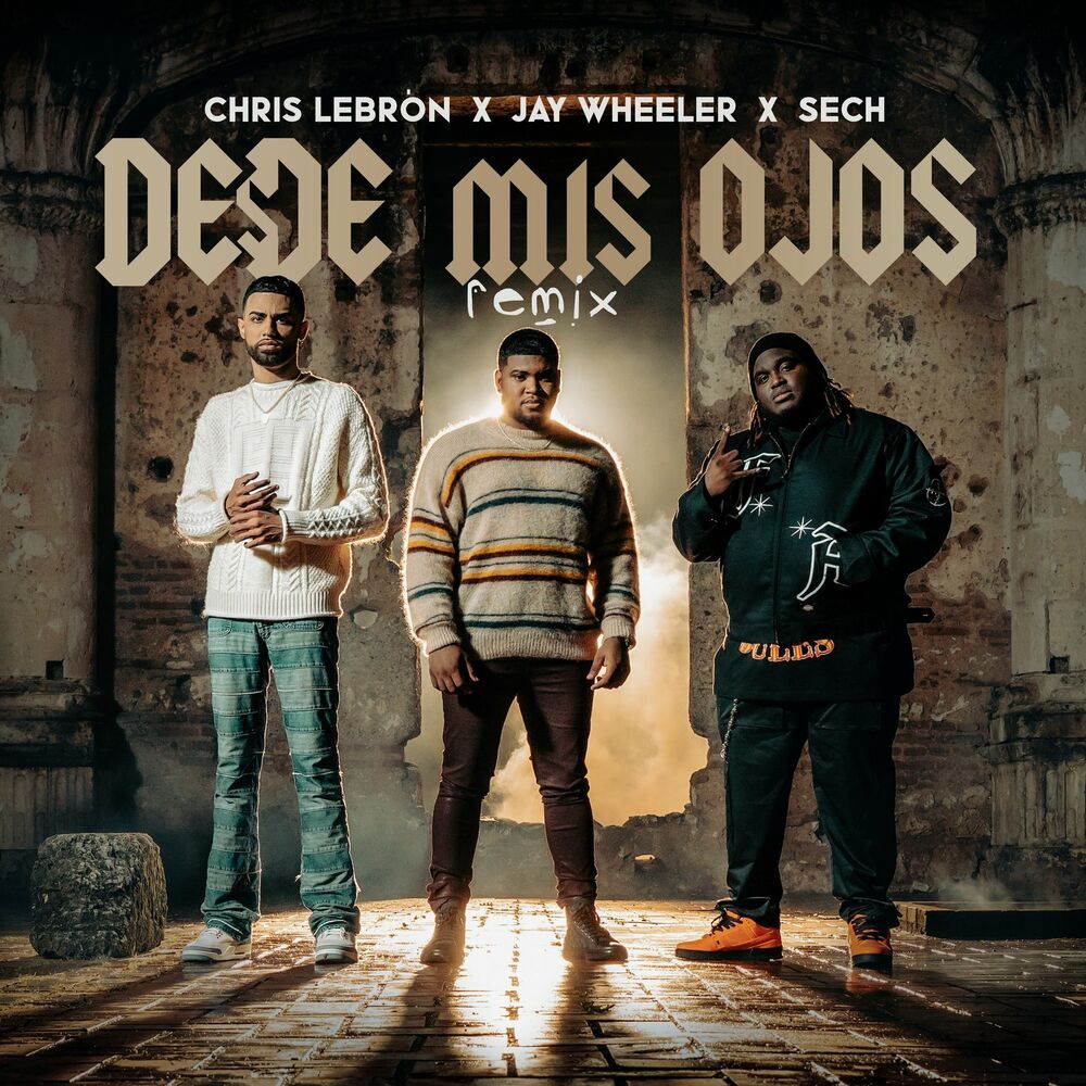 Portada de Desde Mis Ojos (Remix)