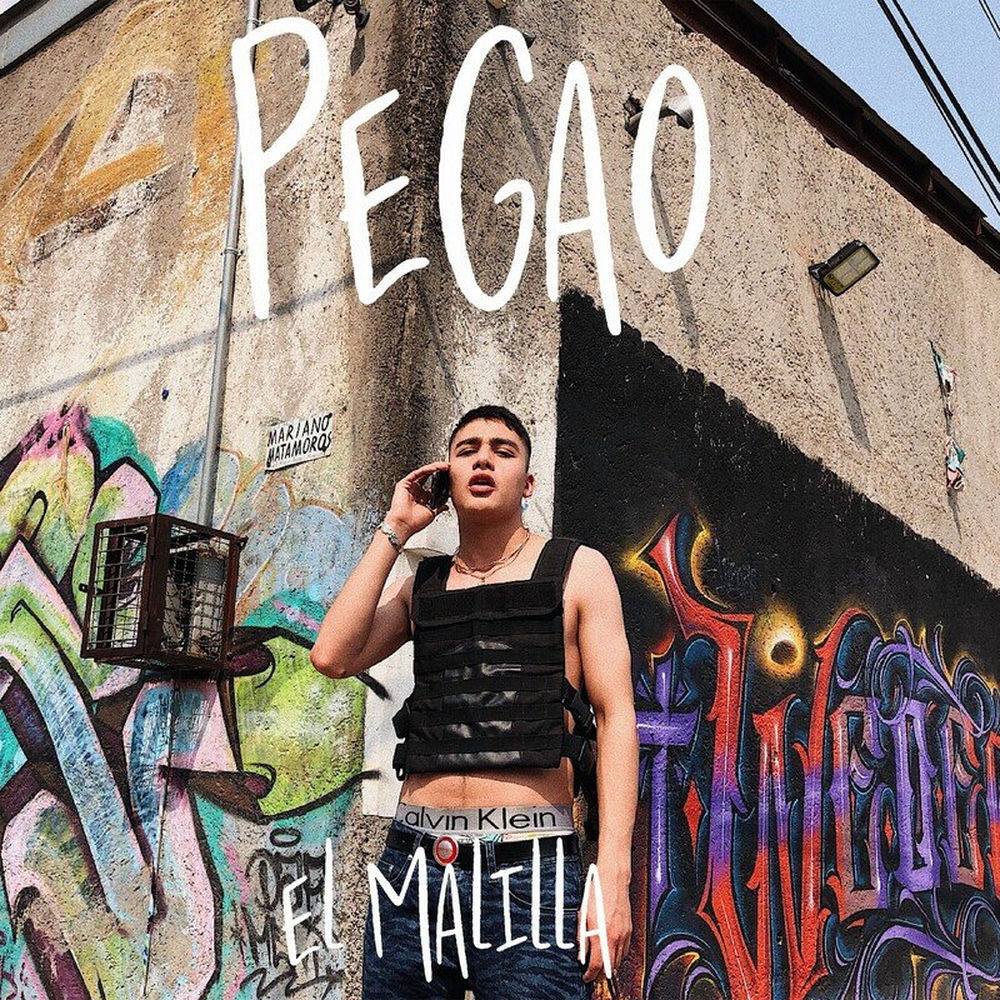 Portada de Pegao