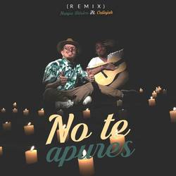 Portada de No Te Apures (Remix)