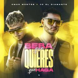 Portada de Beba Qué Quieres Que Haga
