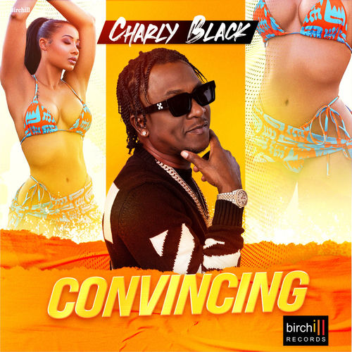 Portada de Convincing