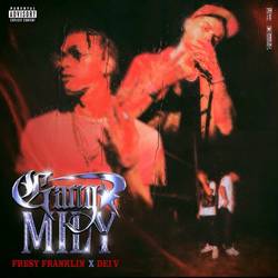 Portada de Gang Mily