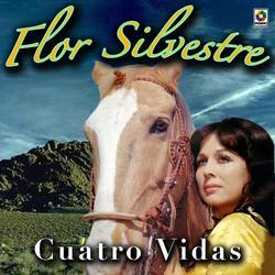 Portada de Cuatro Vidas