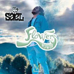 Portada de Flowers Power