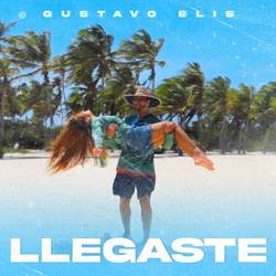 Portada de Llegaste