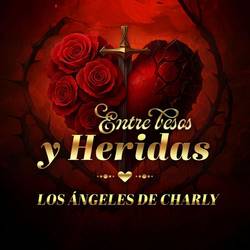 Portada de Entre Besos Y Heridas