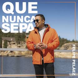 Portada de Que Nunca Sepa