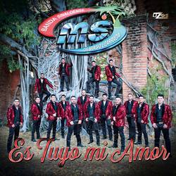 Portada de Es Tuyo Mi Amor