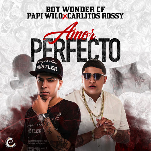 Portada de Amor Perfecto