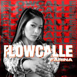 Portada de Flow Calle
