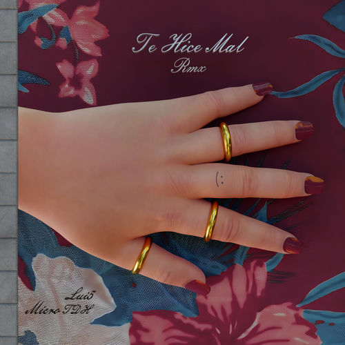Portada de Te Hice Mal (Remix)