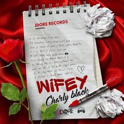 Portada de wifey