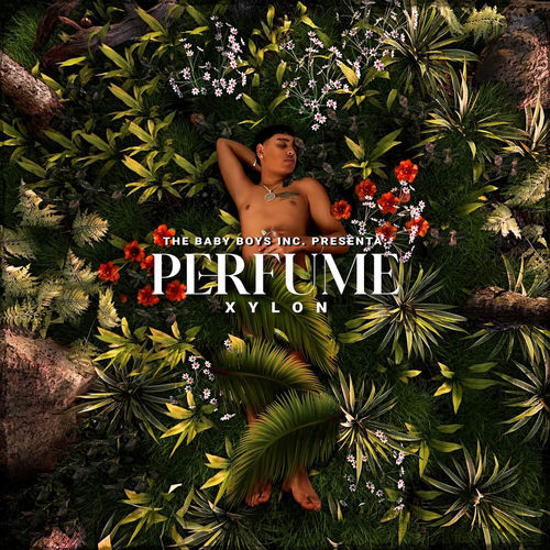 Portada de Perfume