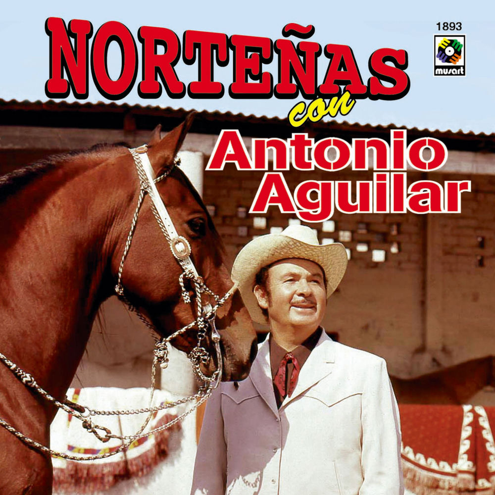 Portada de No Me Desprecies (Por Un Error)