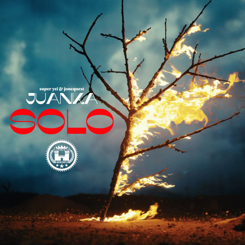 Portada de Solo