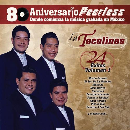 Portada de Camino Verde