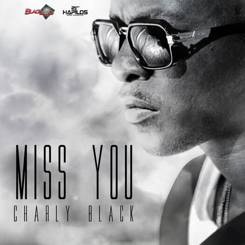 Portada de Miss You