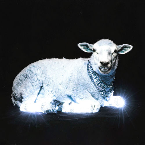 Portada de TLR