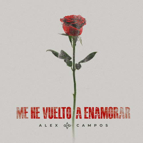 Portada de Me He Vuelto a Enamorar