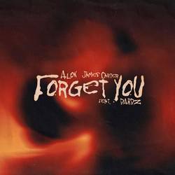 Portada de Forget You (feat. BARBZ)