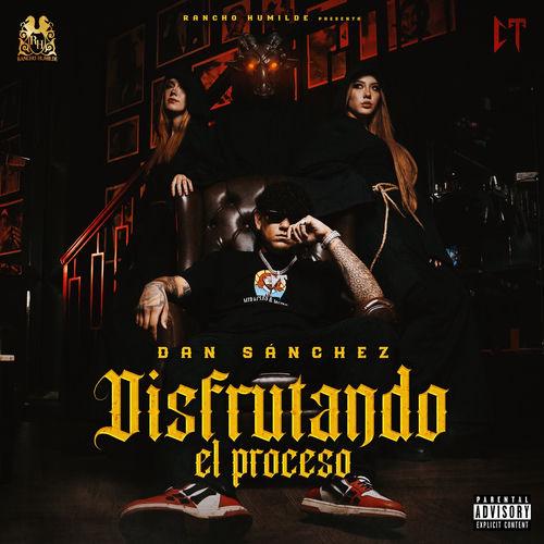 Portada de Disfrutando El Proceso