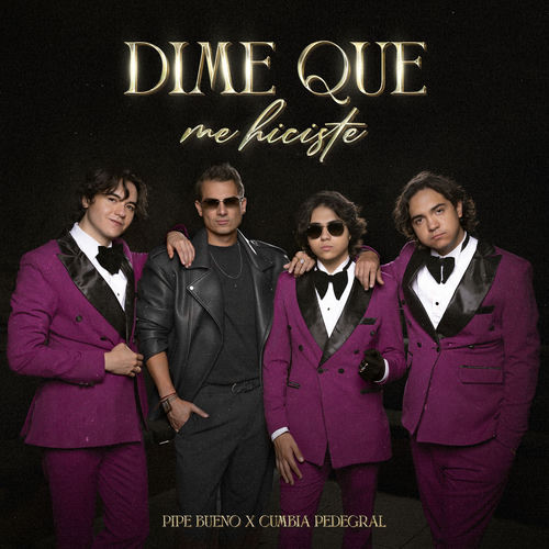 Portada de Dime Que Me Hiciste