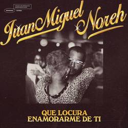 Portada de Que Locura Enamorarme De Ti