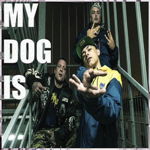 Portada de My Dog Is