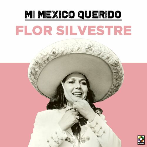 Portada de Mi Mexico Querido