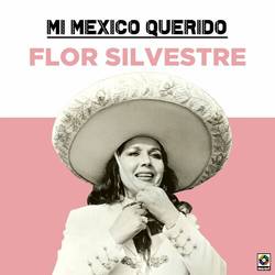 Portada de Mi Mexico Querido