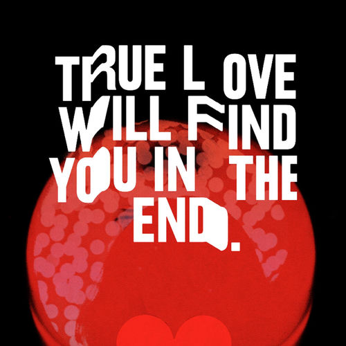 Portada de True Love Will Find You in the End