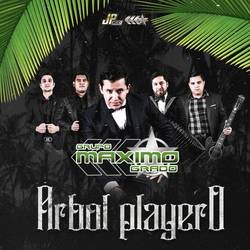 Portada de Árbol Playero
