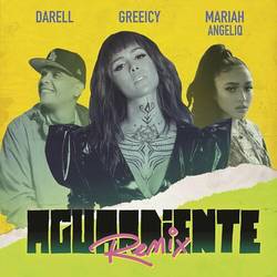 Portada de Aguardiente (Remix)