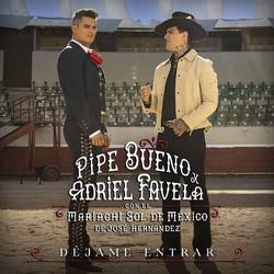 Portada de Déjame entrar (feat. Mariachi Sol De Mexico De Jose Hernandez)