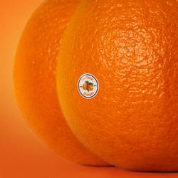 Portada de The Juice: Vol. II