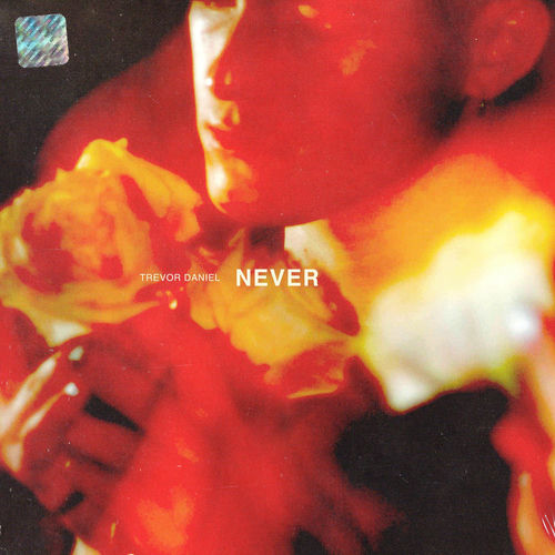 Portada de Never