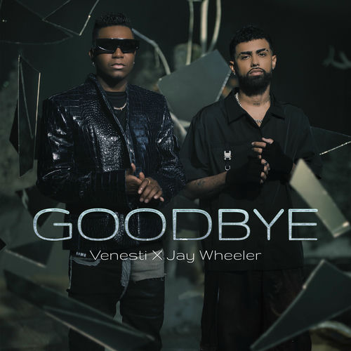 Portada de Goodbye