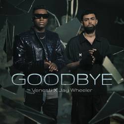 Portada de Goodbye