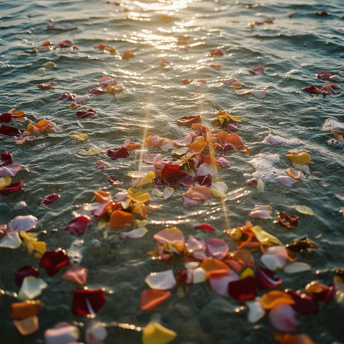 Portada de Flores