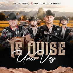 Portada de Te Quise una Vez