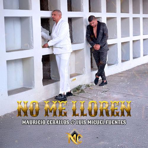 Portada de No Me Lloren