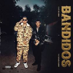 Portada de Bandidos