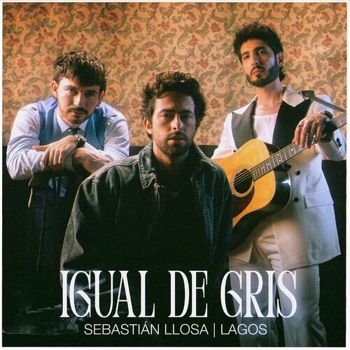 Portada de Igual de gris