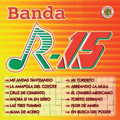 Portada de Arreando La Mula