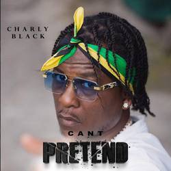 Portada de Cant Pretend