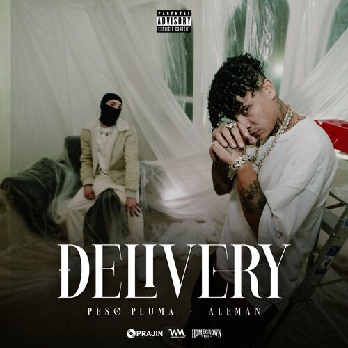 Portada de Delivery