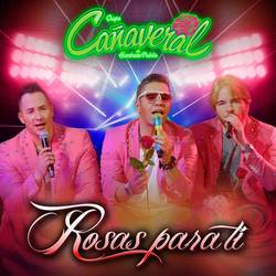 Portada de Rosas Para Ti